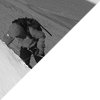 Image22